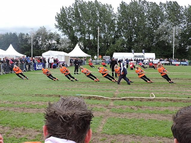 DSCN1598