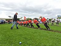 DSCN1334