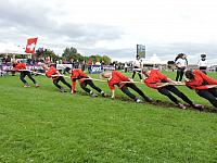 DSCN1337