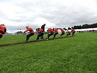 DSCN1352