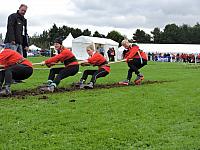 DSCN1353