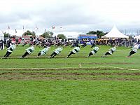 DSCN1522