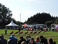 DSCN1528