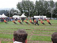 DSCN1598