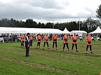 DSCN1617