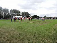 DSCN1691