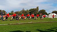 IMG-20170923-WA0076