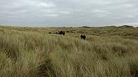 IMG-20170923-WA0099