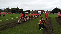 IMG-20170925-WA0046