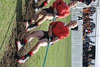 IMG 9582