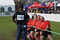 IMG 9611